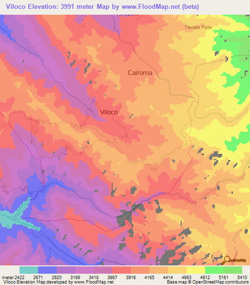 Viloco,Bolivia Elevation Map