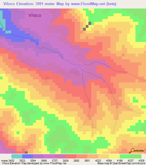 Viloco,Bolivia Elevation Map