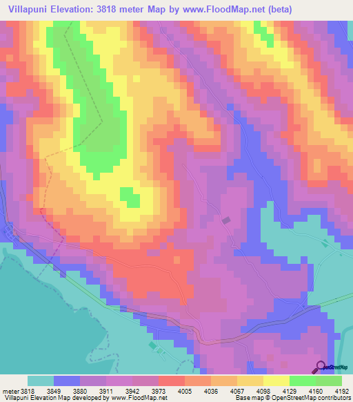 Villapuni,Bolivia Elevation Map