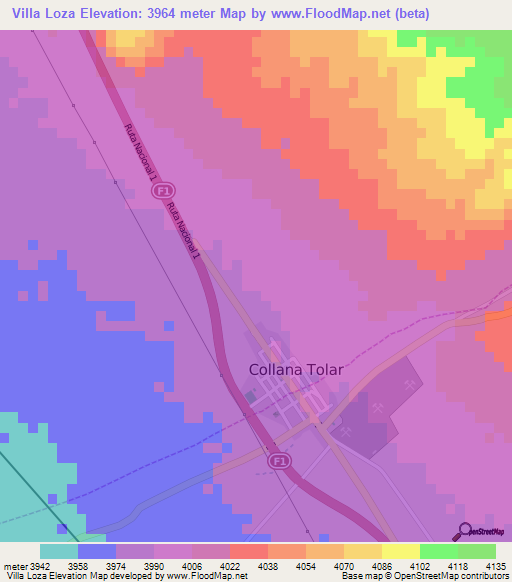 Villa Loza,Bolivia Elevation Map