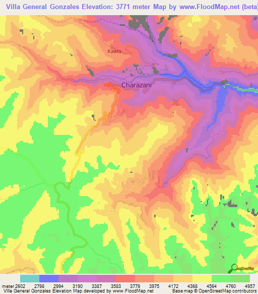 Villa General Gonzales,Bolivia Elevation Map