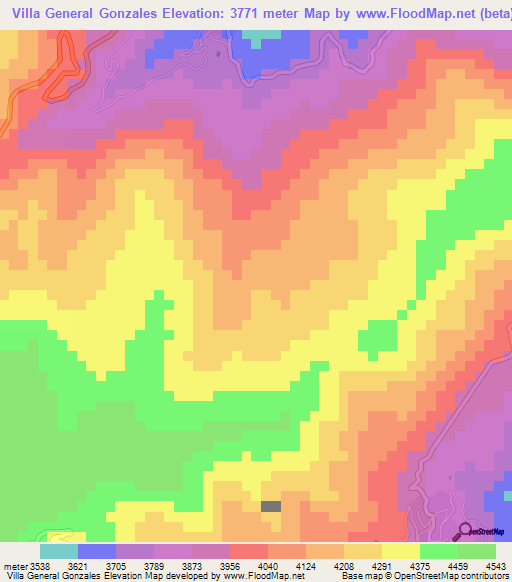 Villa General Gonzales,Bolivia Elevation Map