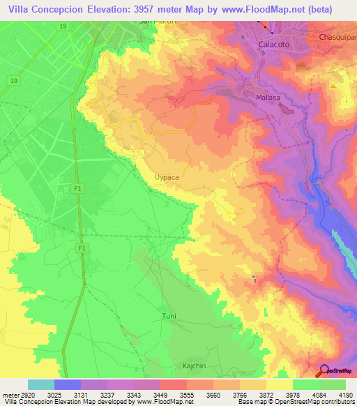 Villa Concepcion,Bolivia Elevation Map