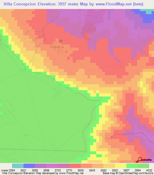 Villa Concepcion,Bolivia Elevation Map