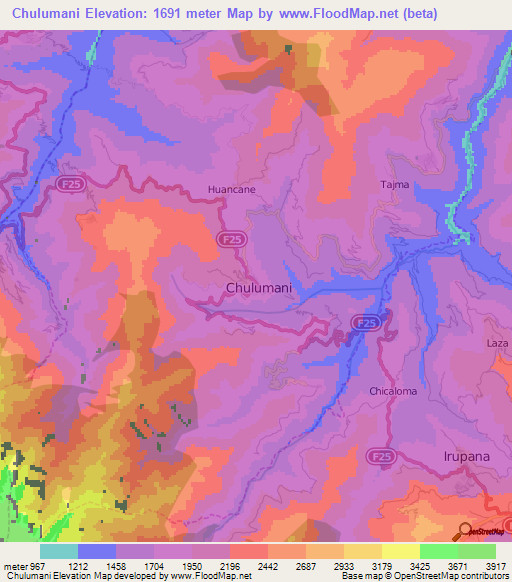 Chulumani,Bolivia Elevation Map