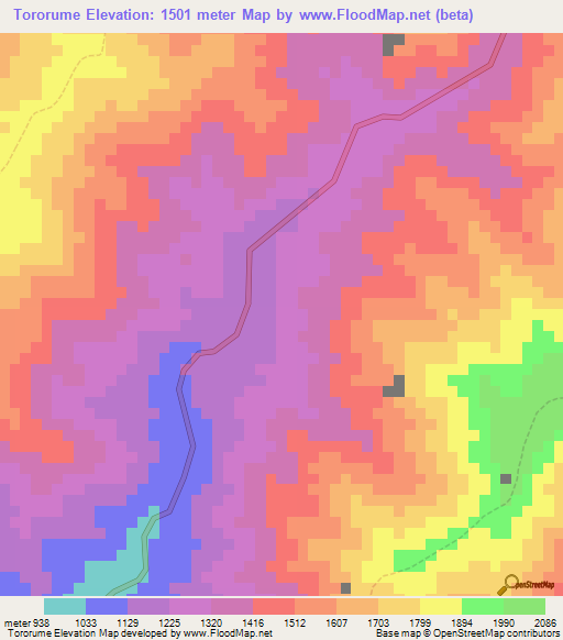 Tororume,Peru Elevation Map