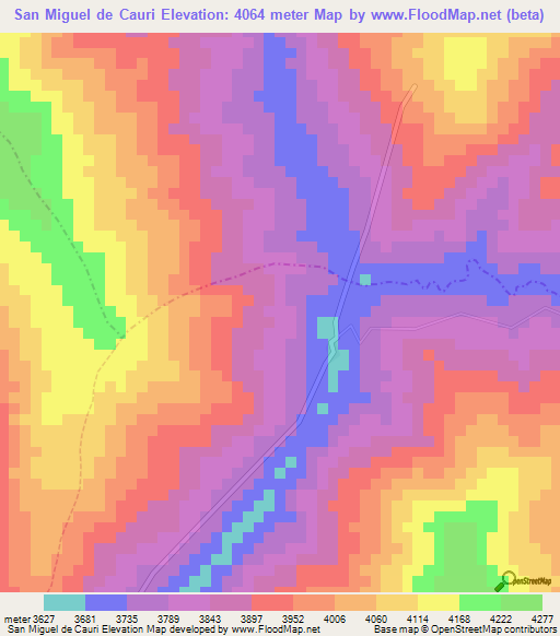 San Miguel de Cauri,Peru Elevation Map