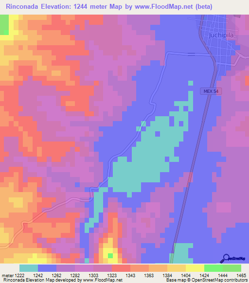 Rinconada,Mexico Elevation Map