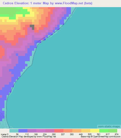 Cedros,Mexico Elevation Map