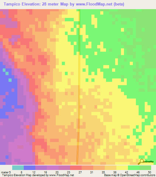 Tampico,Mexico Elevation Map