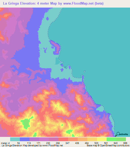 La Gringa,Mexico Elevation Map