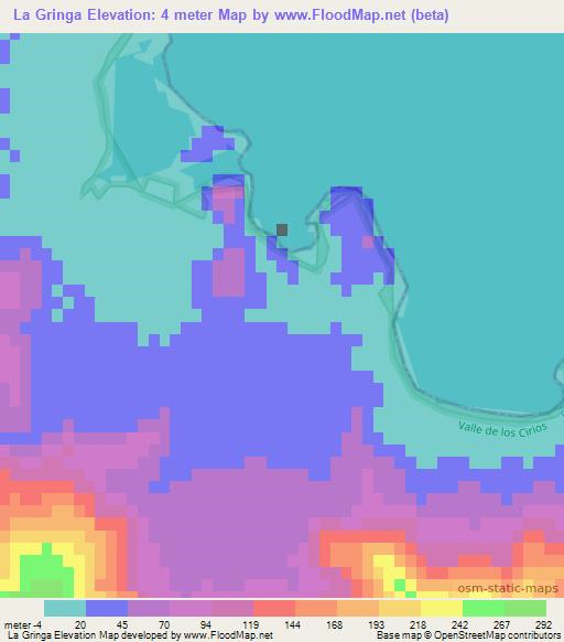 La Gringa,Mexico Elevation Map