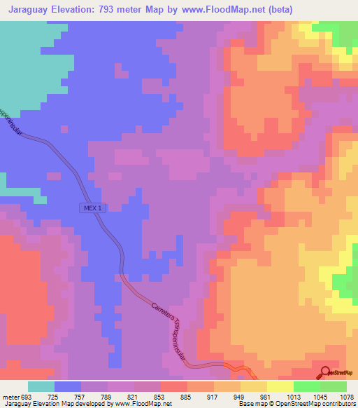 Jaraguay,Mexico Elevation Map