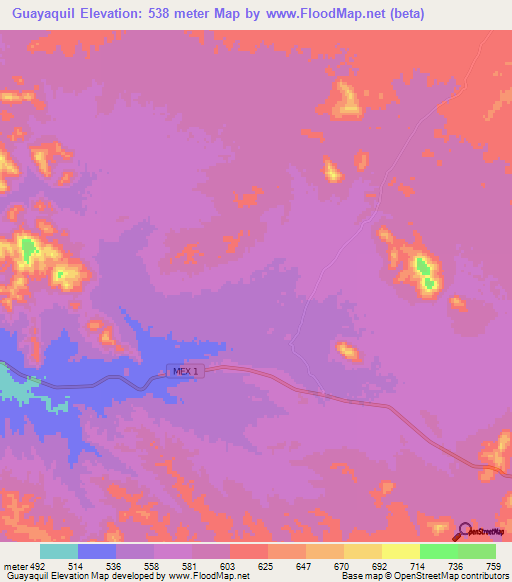 Guayaquil,Mexico Elevation Map