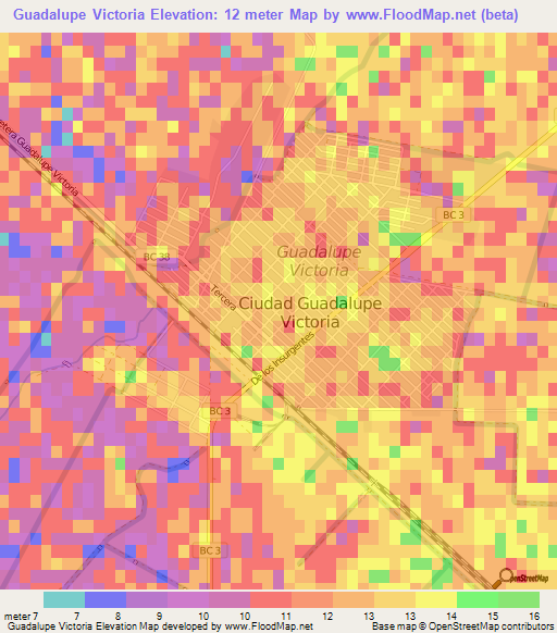 Guadalupe Victoria,Mexico Elevation Map