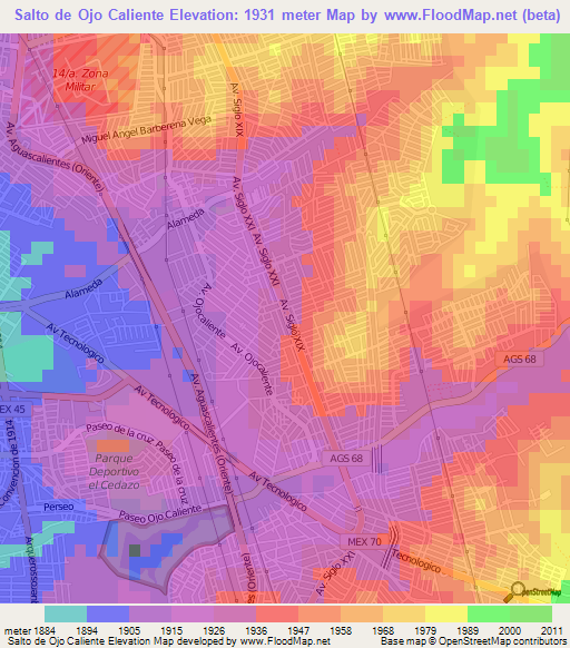 Salto de Ojo Caliente,Mexico Elevation Map
