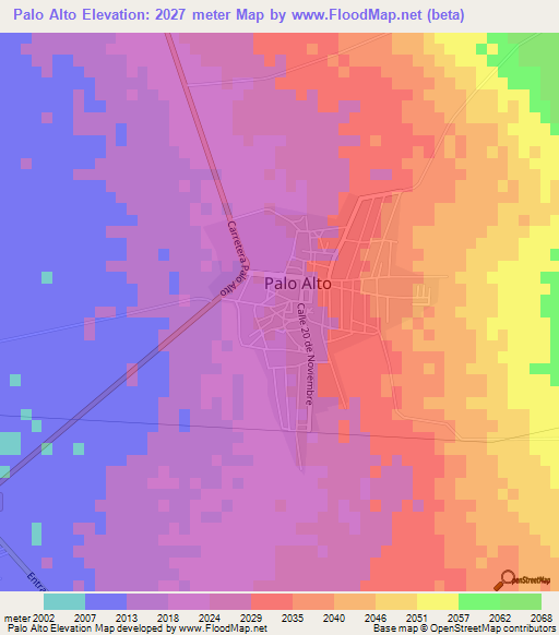 Palo Alto,Mexico Elevation Map