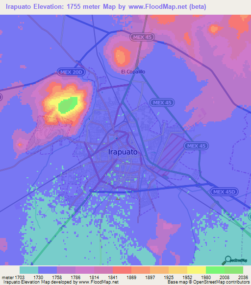 Irapuato,Mexico Elevation Map