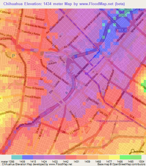 Chihuahua,Mexico Elevation Map