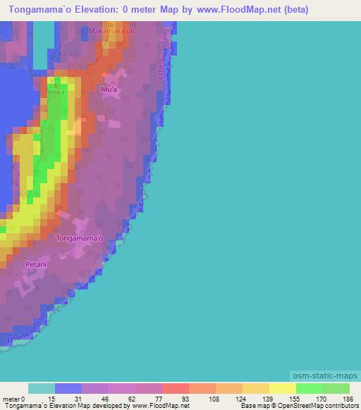 Tongamama`o,Tonga Elevation Map