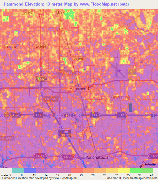 Hammond,US Elevation Map