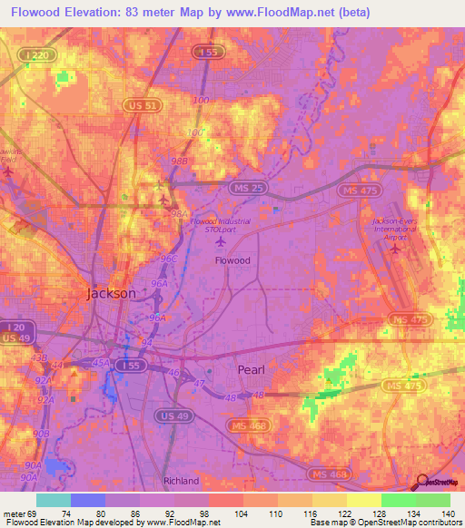 Flowood,US Elevation Map