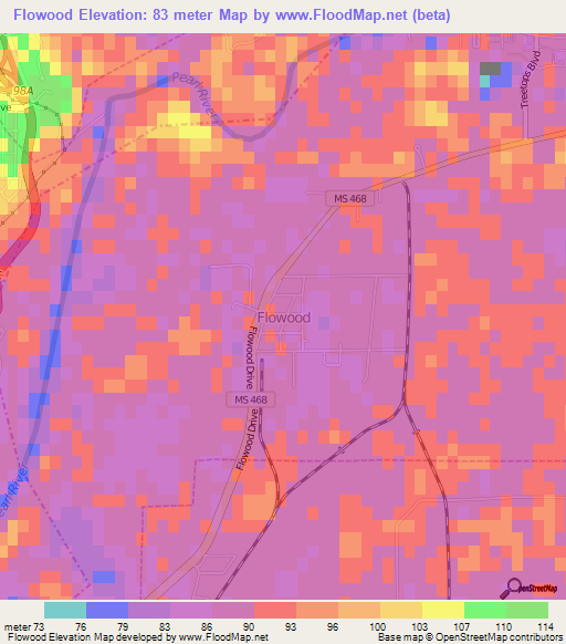 Flowood,US Elevation Map