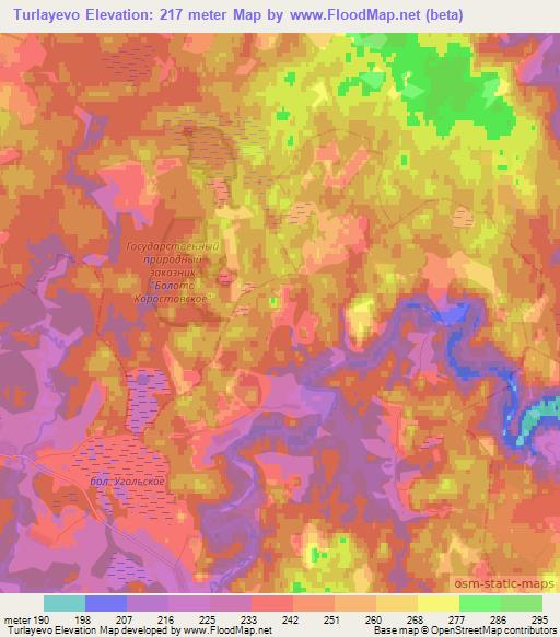 Turlayevo,Russia Elevation Map