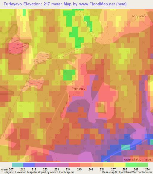 Turlayevo,Russia Elevation Map