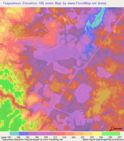 Tsapushevo,Russia Elevation Map