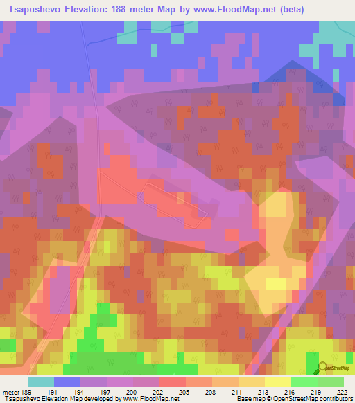 Tsapushevo,Russia Elevation Map