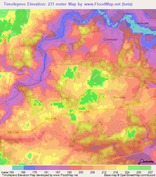 Timofeyevo,Russia Elevation Map