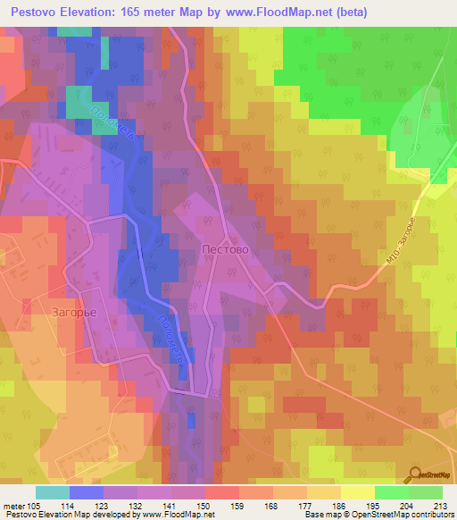 Pestovo,Russia Elevation Map