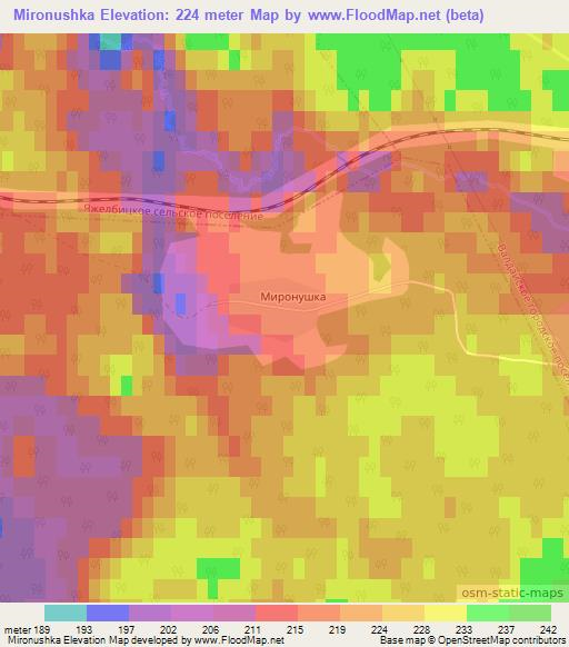 Mironushka,Russia Elevation Map