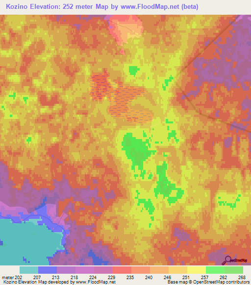 Kozino,Russia Elevation Map