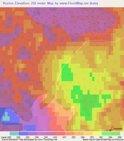 Kozino,Russia Elevation Map