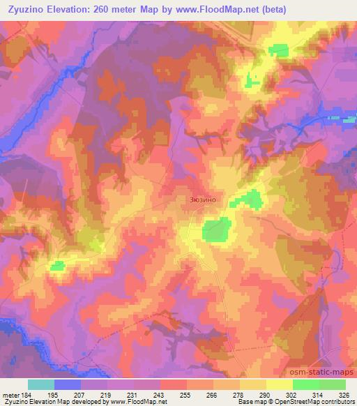 Zyuzino,Russia Elevation Map