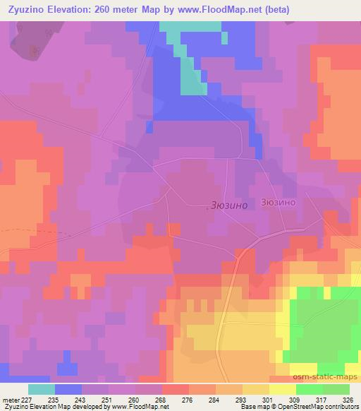 Zyuzino,Russia Elevation Map