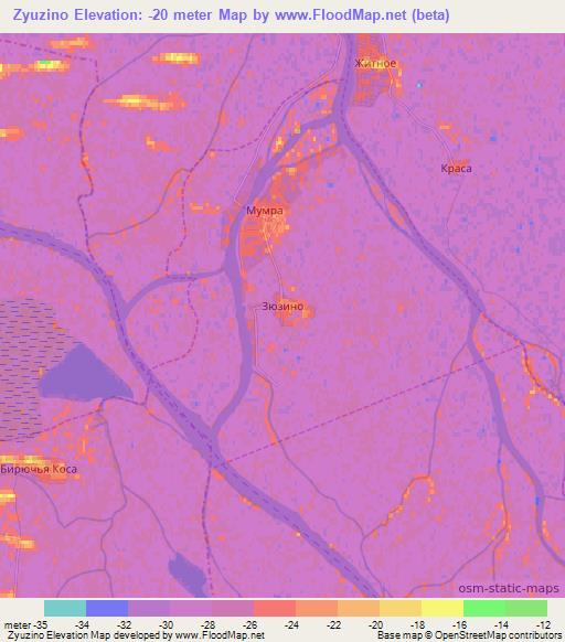 Zyuzino,Russia Elevation Map