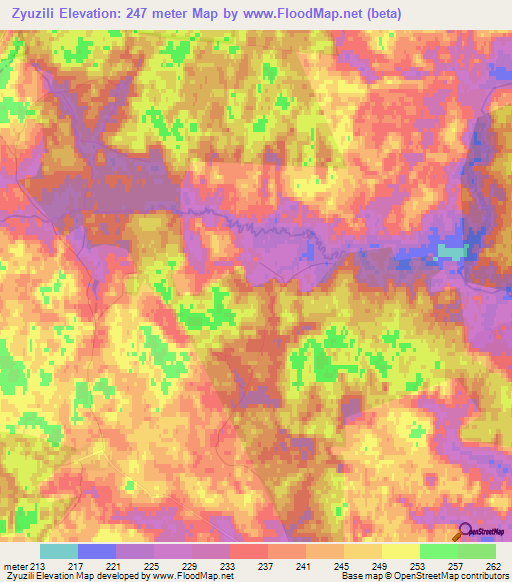 Zyuzili,Russia Elevation Map