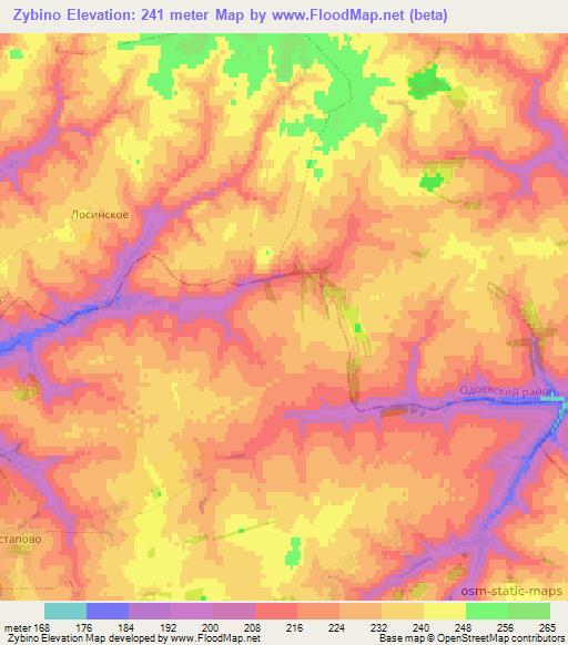 Zybino,Russia Elevation Map