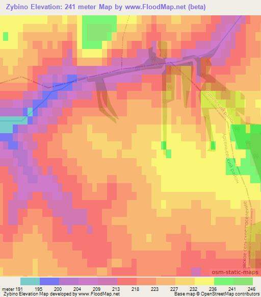 Zybino,Russia Elevation Map