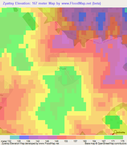 Zyattsy,Russia Elevation Map