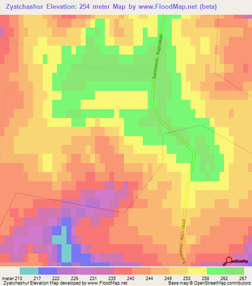 Zyatchashur,Russia Elevation Map