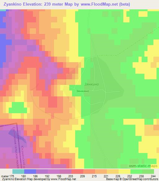 Zyankino,Russia Elevation Map