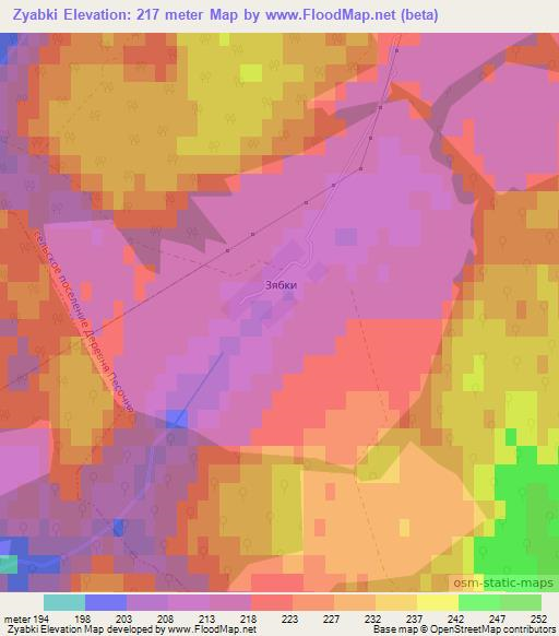 Zyabki,Russia Elevation Map