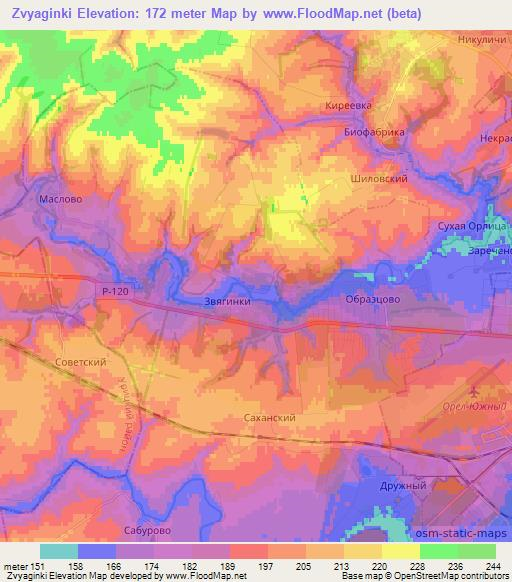 Zvyaginki,Russia Elevation Map