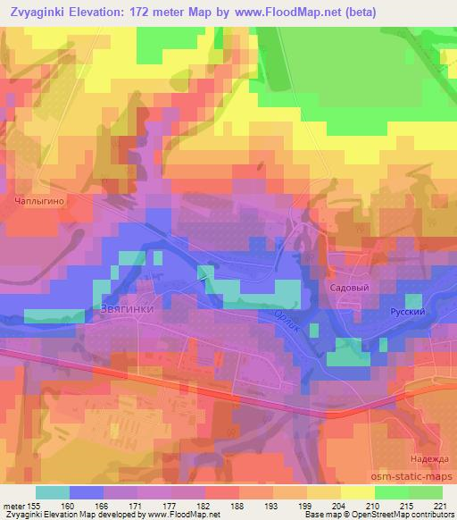 Zvyaginki,Russia Elevation Map