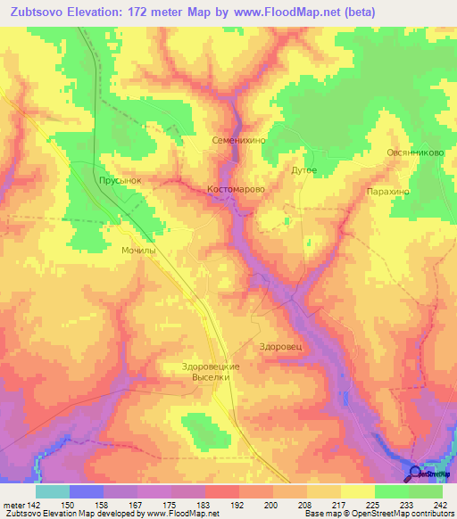 Zubtsovo,Russia Elevation Map