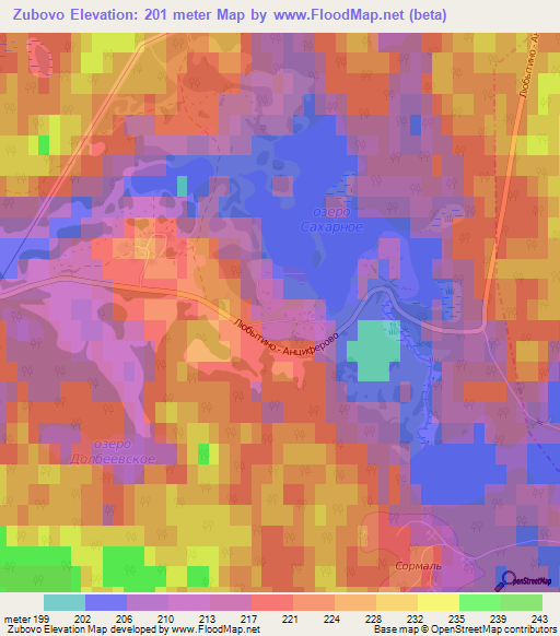 Zubovo,Russia Elevation Map